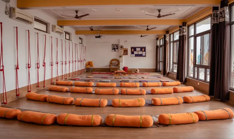 Why Choose Vinyasa Yoga Academy for Yoga Training in Kerala