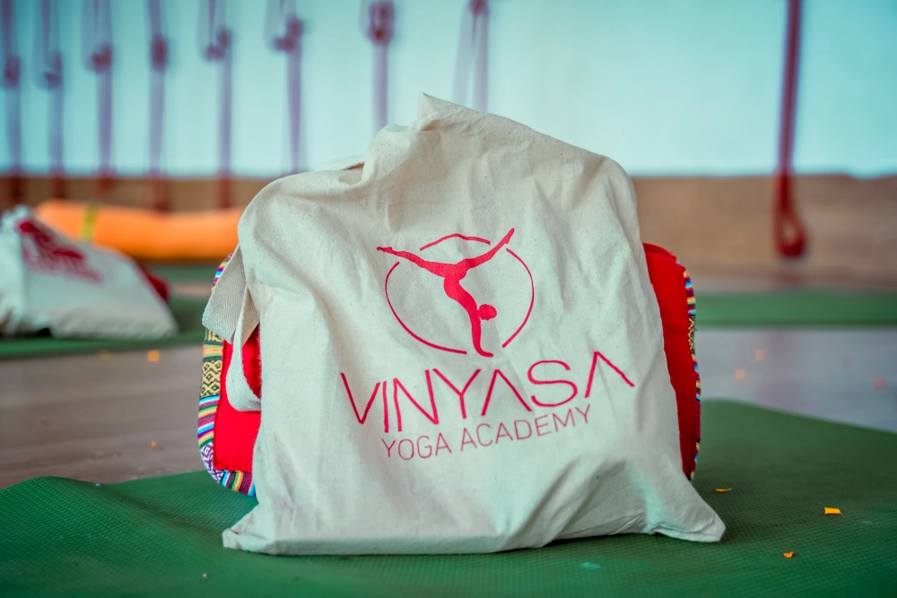 Vinyasa Yoga Academy