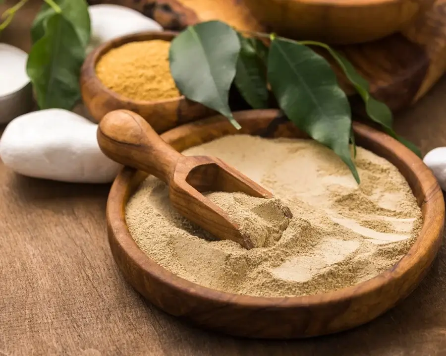 Ayurveda consultation with our resident doctor